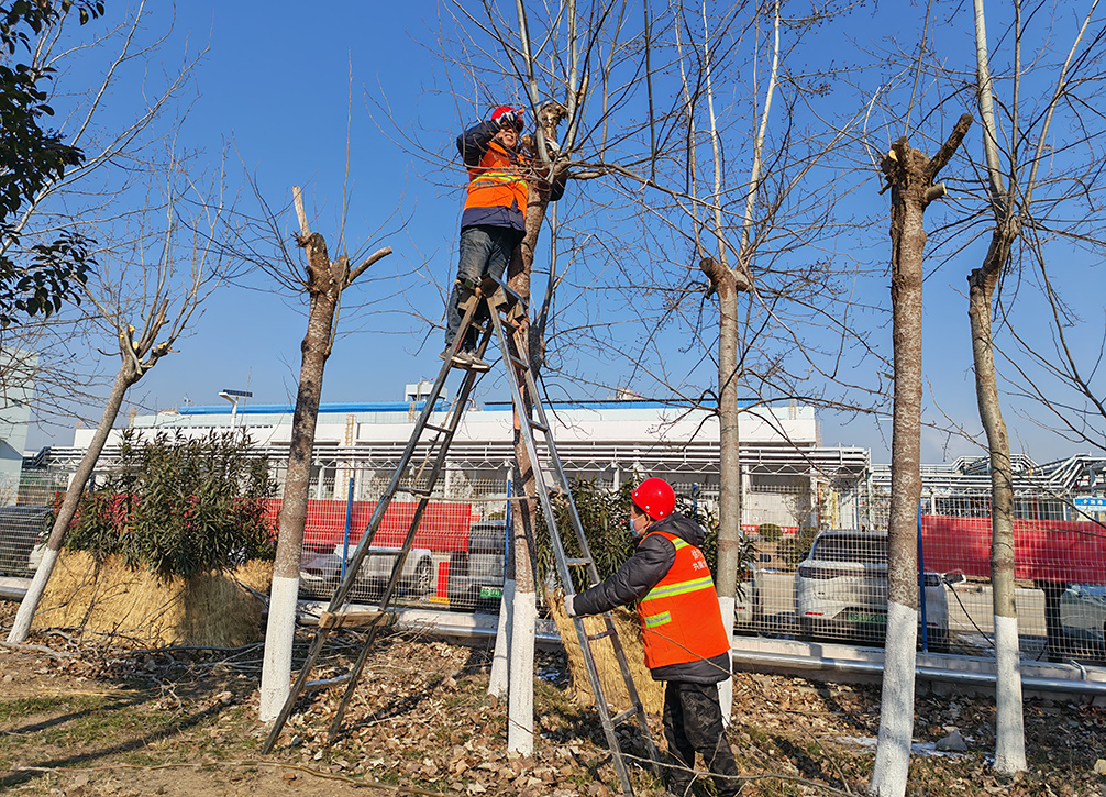 B224DF174A17C8A3E601C11BBEE666A2